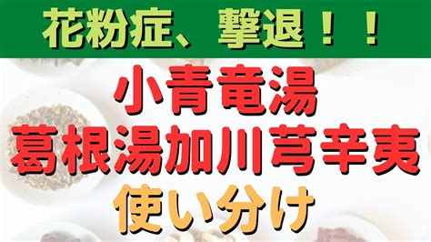 葛根湯加小青龍湯|葛根湯と小青竜湯の違い｜岡部医